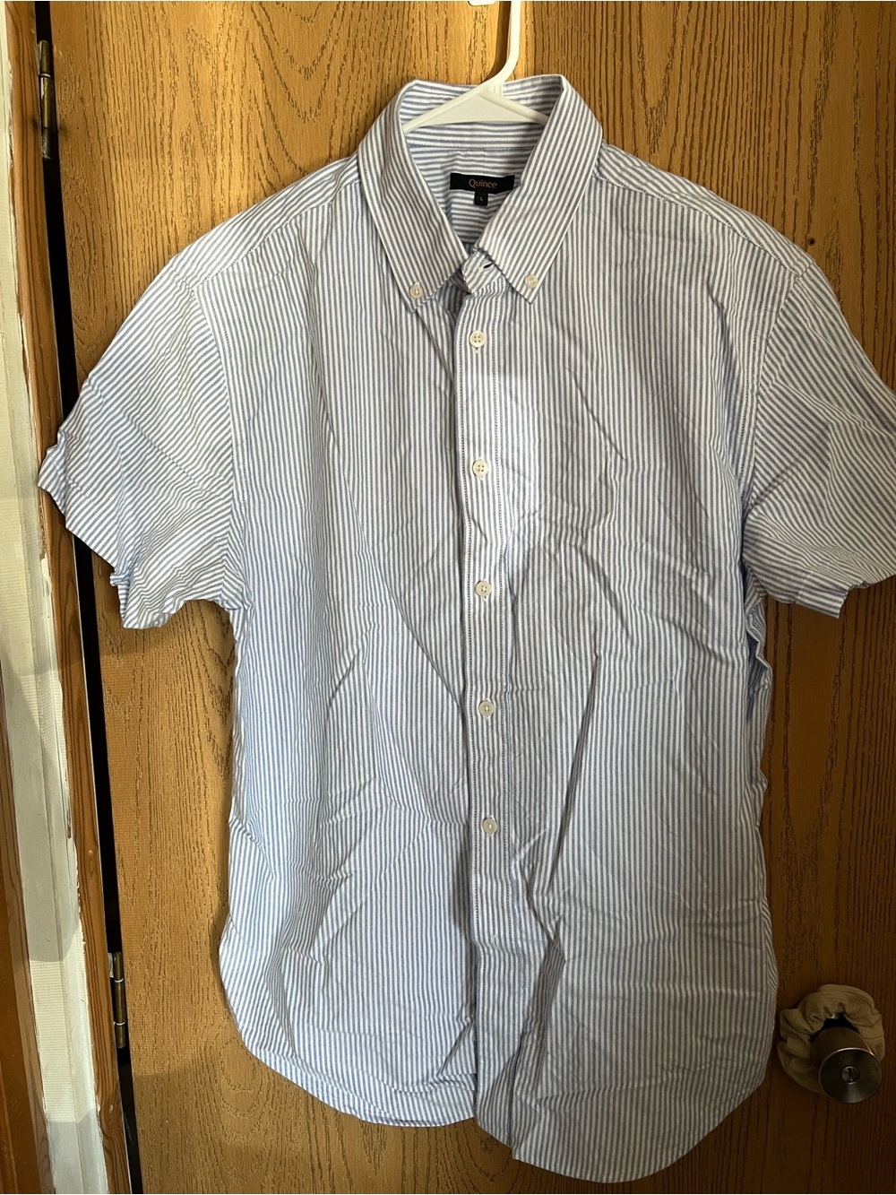 Quince Men pinstripe shirt L